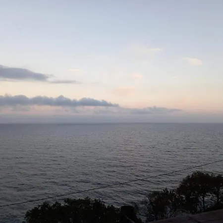 Joli Face A La Mer- Grisgione *